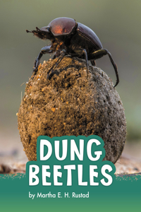 Dung Beetles