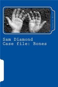 Sam Diamond Case file