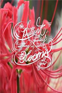 Be patient with yourself, nothing in nature blooms all year