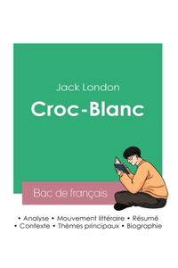 Réussir son Bac de français 2023: Analyse de Croc-Blanc de Jack London