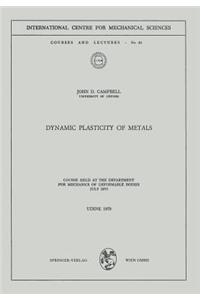 Dynamic Plasticity of Metals