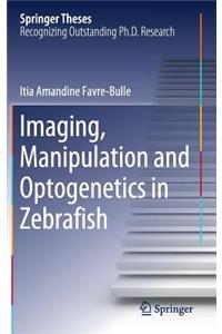 Imaging, Manipulation and Optogenetics in Zebrafish