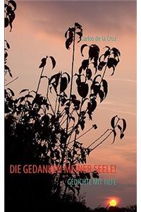 Gedanken Meiner Seele!