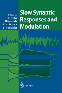 Slow Synaptic Responses and Modulation