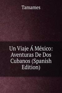 Un Viaje A Mexico: Aventuras De Dos Cubanos (Spanish Edition)