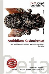 Anthidium Kashmirense