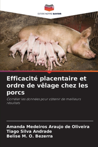 Efficacité placentaire et ordre de vêlage chez les porcs