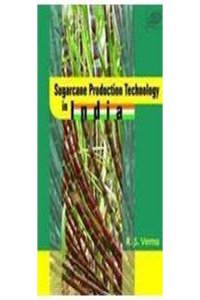 Sugarcane Production Technology in India