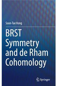 Brst Symmetry and de Rham Cohomology