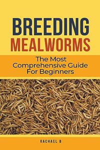 Breeding Mealworms