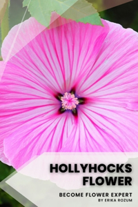 Hollyhocks flower