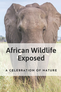 African Wildlife Exposed