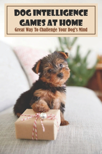 Dog Intelligence Games At Home Great Way To Challenge Your Dog_s Mind