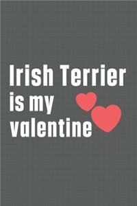 Irish Terrier is my valentine