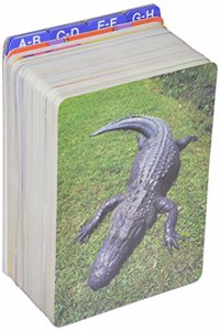 Early Reading Intervention Picture Cards