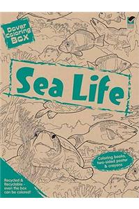 Dover Coloring Box -- Sea Life