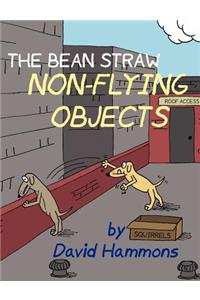 Bean Straw: Non-Flying Objects