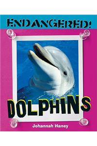 Dolphins