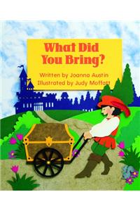 Ready Readers, Stage Zero, Book 33, What Did You Bring?, Big Book