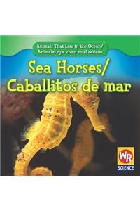 Sea Horses / Caballitos de Mar