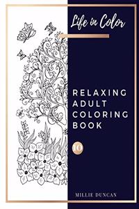 RELAXING ADULT COLORING BOOK (Book 10)
