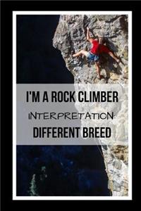 I'm A Rock Climber. Interpretation