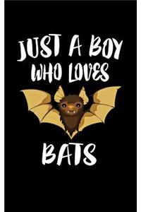 Just A Boy Who Loves Bats