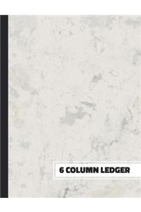 6 Column Ledger