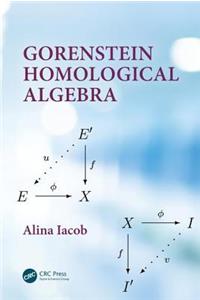 Gorenstein Homological Algebra