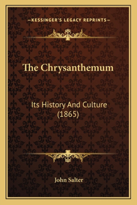 Chrysanthemum