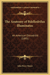 The Anatomy of Bdellodrilus Illuminatus