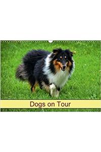 Dogs on Tour 2018