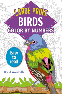 Large Print Color by Numbers Birds