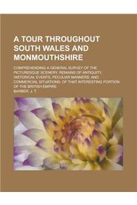 A Tour Throughout South Wales and Monmouthshire; Comprehending a General Survey of the Picturesque Scenery, Remains of Antiquity, Historical Events,