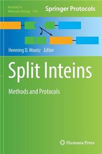 Split Inteins