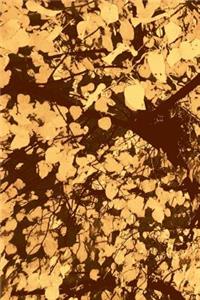 Abstract Brachiate Journal