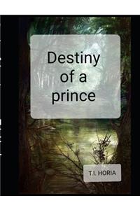 Destiny of the prince