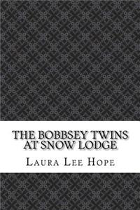 The Bobbsey Twins at Snow Lodge