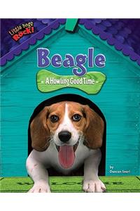 Beagle