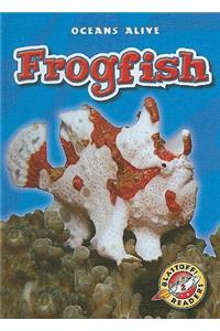 Frogfish