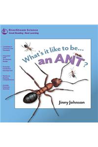 An Ant?