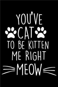 You've Cat To be Kitten Me Right Now