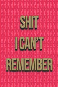 Shit I Can't Remember
