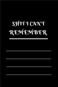 Shit I Can't Remember