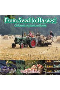 From Seed to Harvest - Children's Agriculture Books