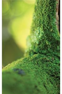 Mossy Tree Log Journal