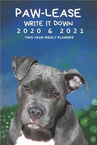 2020 & 2021 Two-Year Weekly Planner For Pit Bull Terrier Dog Owner - Appointment Book Gift - Two Year Agenda Notebook