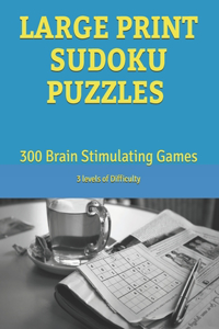 Large Print Sudoku Puzzles