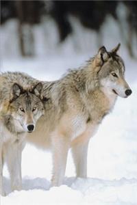 2020 Weekly Planner Winter Theme Pretty Wolves 134 Pages