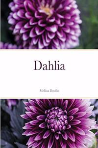 Dahlia